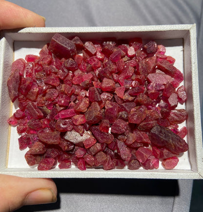 Facet Grade Rough Rubies - Pigeon Blood Red, Unheated, Mozambique