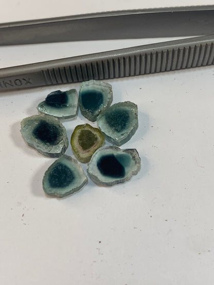 Polished Watermelon tourmaline slices