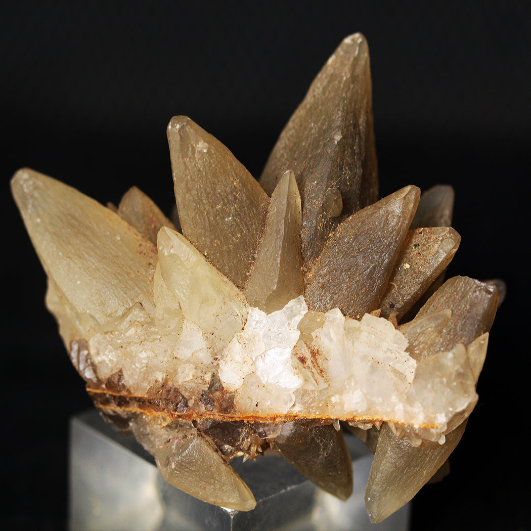Buy Dog Tooth Calcite Crystals